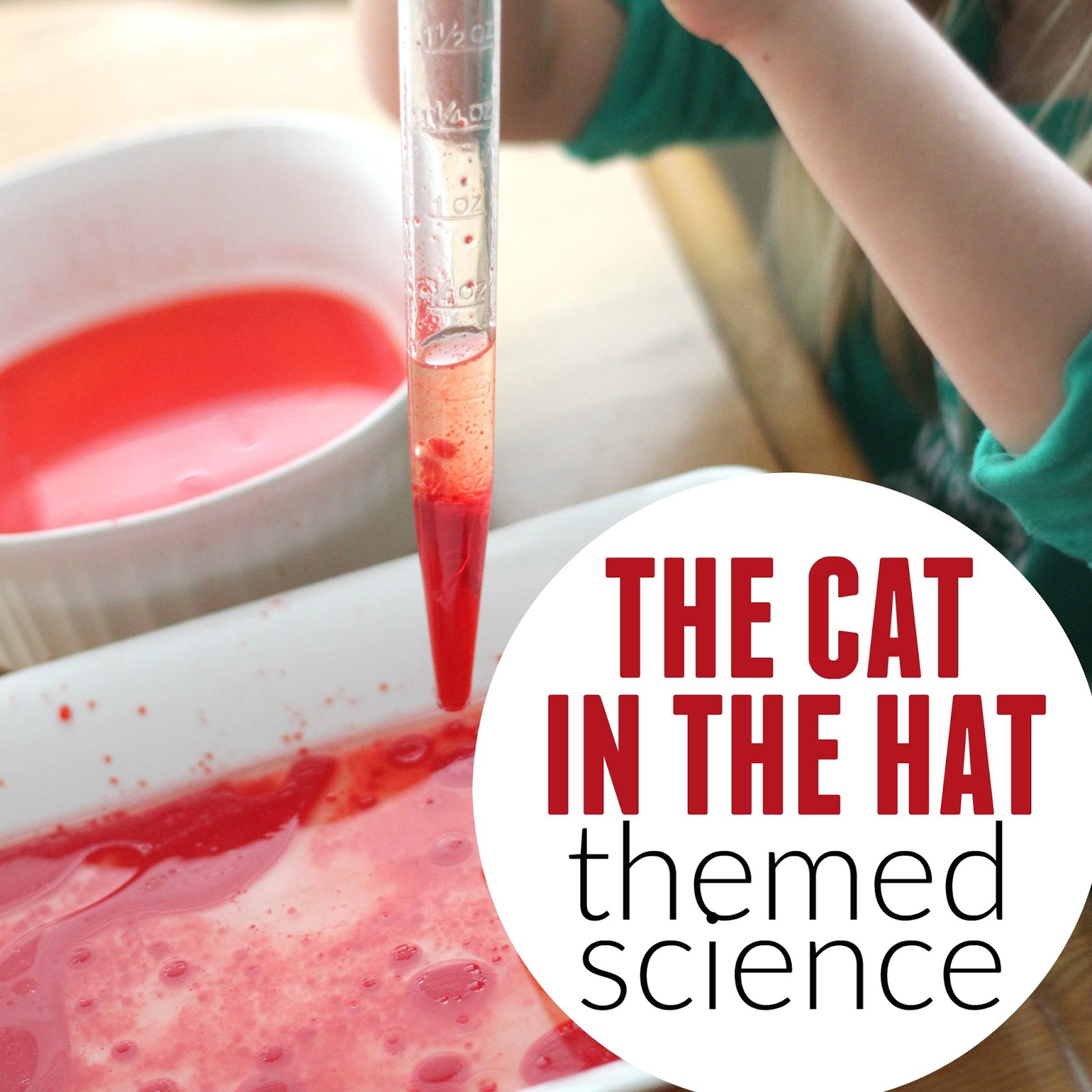 The Cat in the Hat film - Wikipedia