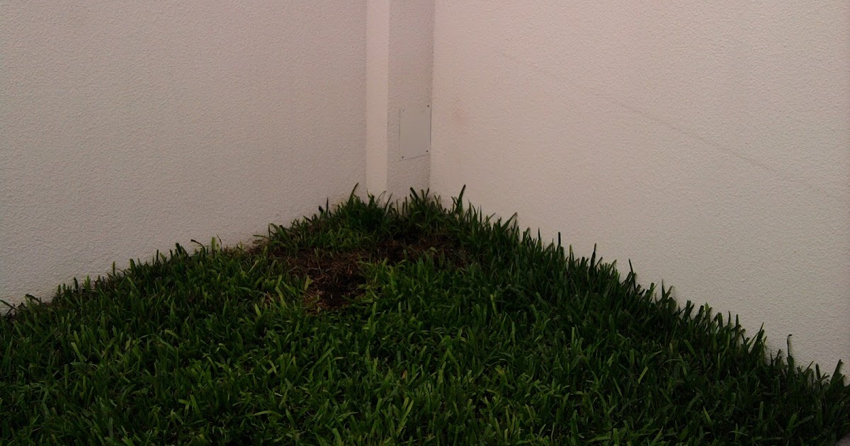 Técnico en Jardinería: Diseño en Jardín.