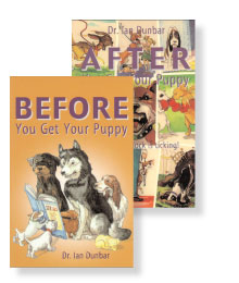 Sirius Dog Boarding Greeley Sirius Dog Boarding Greeley