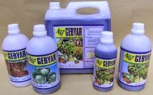 NU Gebyar adalah pupuk makro cair NPK majemuk/ polymer terabuster (tera booster). Mengandung unsur hara makro NPK dan unsur hara mikro Mn, Zc, B, Cu dan lain-lain. Juga mengandung unsur BIOSTER dan vitamin yang bersifat booster mempercepat metabolisme tanaman atas unsur2 polymer hara makro dan mikro didalam sistem pertumbuhan tanaman. Tersedia kemasan botol isi 1 liter dan kemasan jirigen isi 5 liter.