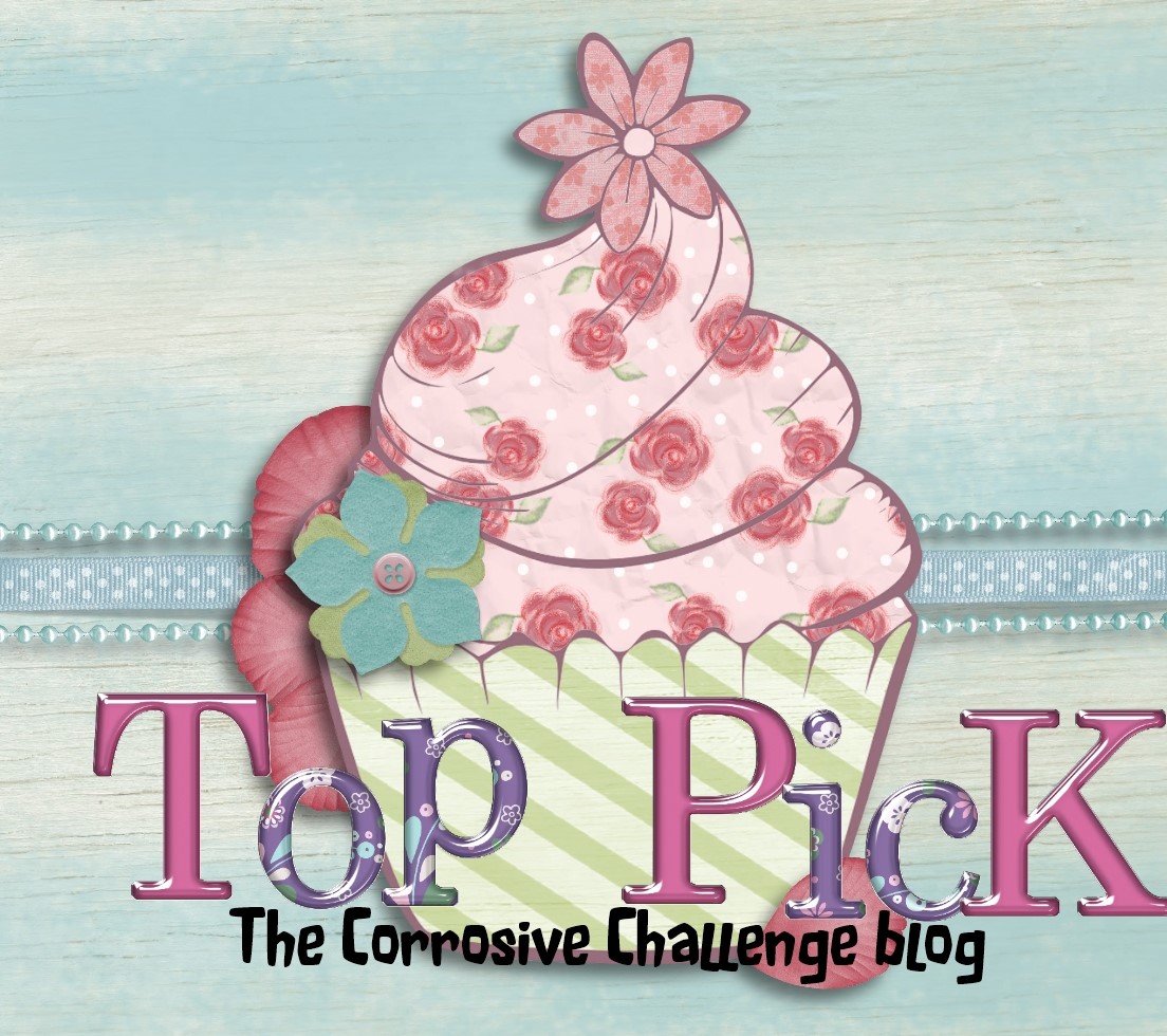 The Corrosive Challenge Blog