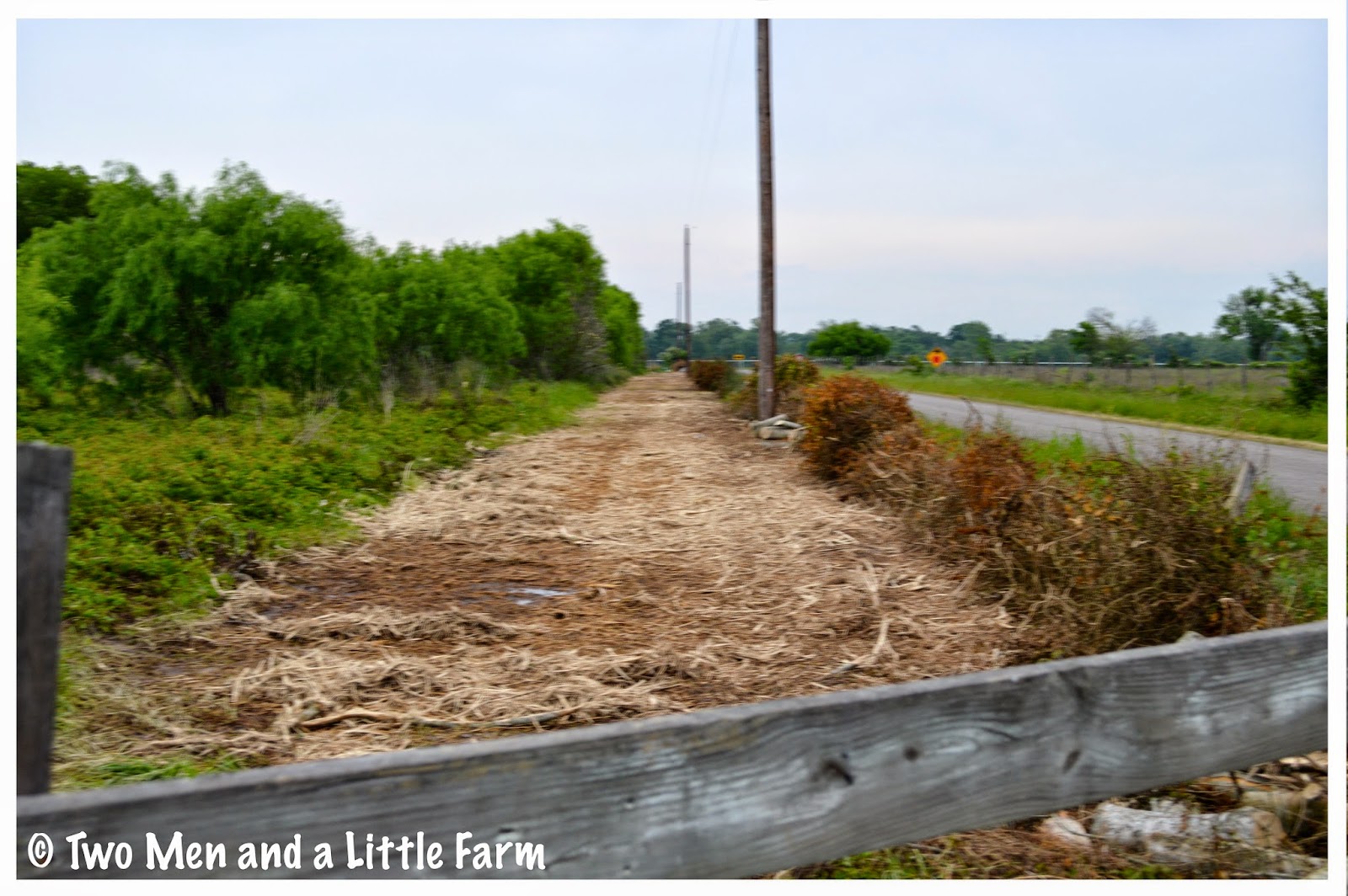 Two Men and a Little Farm A SURPRISE CLEARING