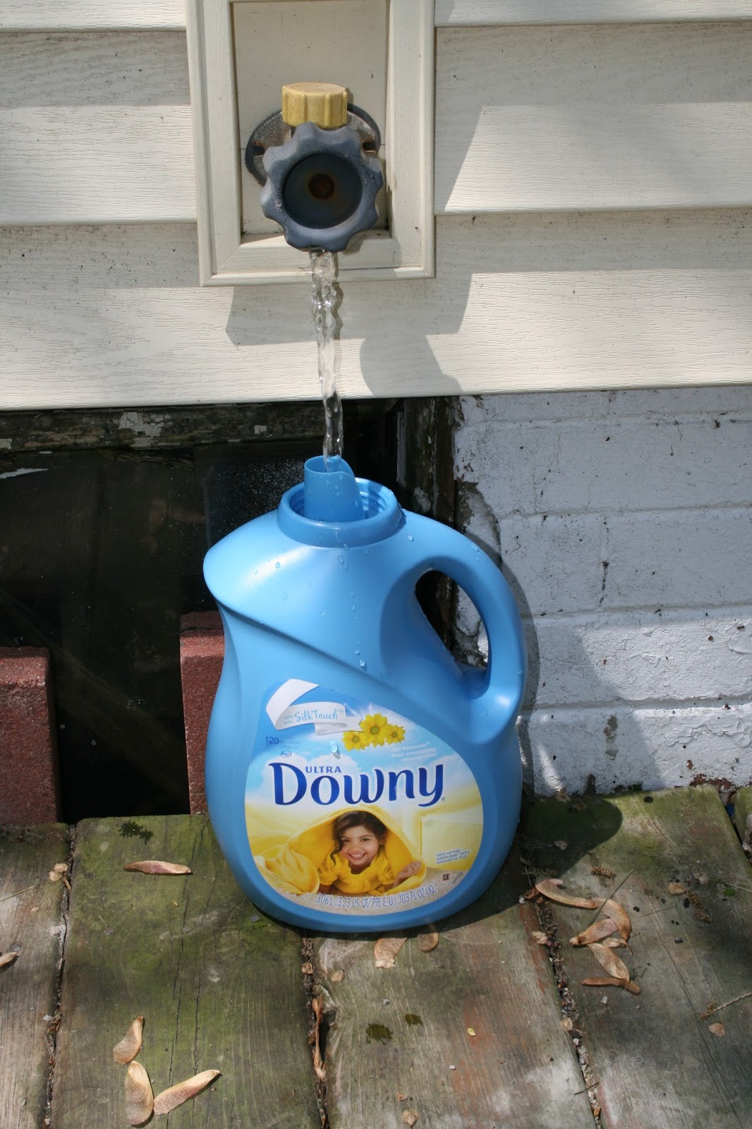 Ashley DIY DIY Watering Can
