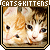 I like cats and kittens
