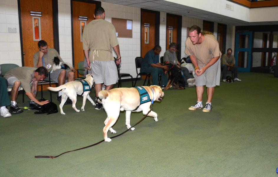 PRISON DOG PROGRAMS BRIDGES and PATHWAYS of COURAGE OSHKOSH
