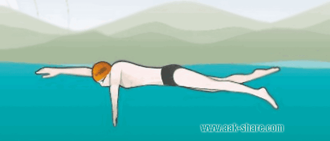 Teknik Renang Gaya Bebas (Crawl) | Lengkap | Websiteedukasi.com