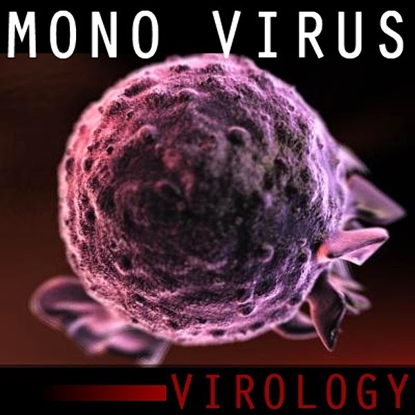 Microscopic image of the Mononucleosis Virus Microscopic image of the Mononucleosis Virus