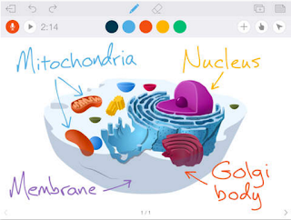 nucleus app for ipad nucleus app for ipad