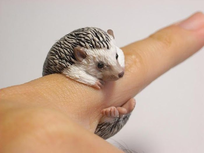 Finger Rings in the form of Animals | Jiro Miura Finger Rings in the form of Animals | Jiro Miura