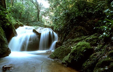 Amazon rain forest water fall