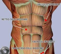 QUALI ESERCIZI FARE PER GLI ADDOMINALI BASSI MEDI ALTI