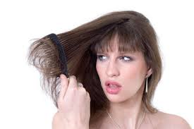 Tips Merawat Rambut Kering