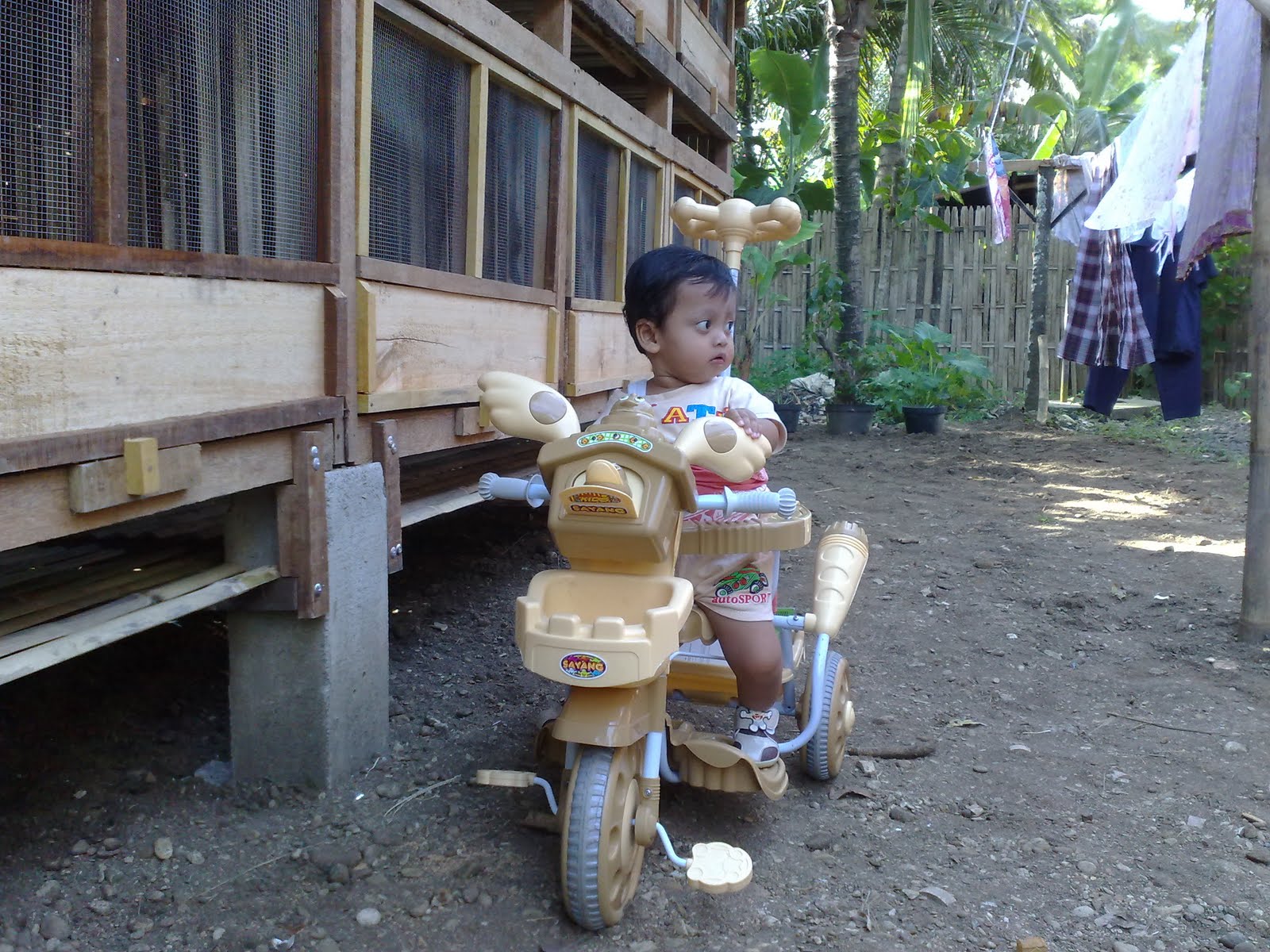 Membuat Kandang Kelinci Apin Rabbit Membuat Kandang Kelinci Apin Rabbit