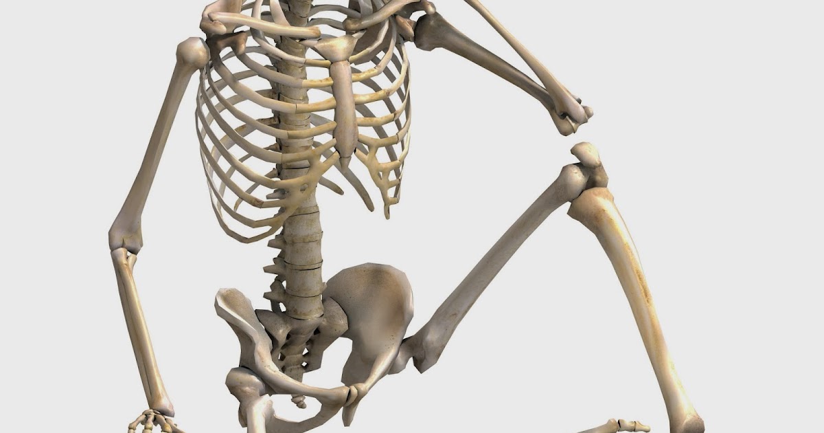 jacki long: Day 533: Ever been "bone-tired"?