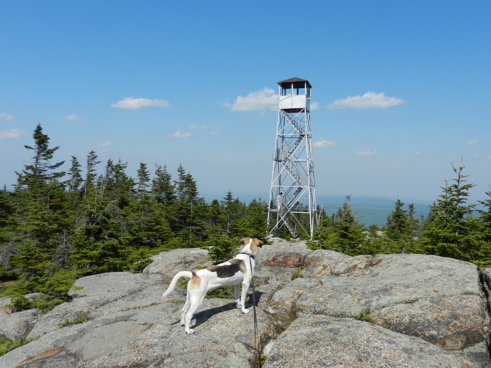Off on Adventure Lyon Mountain 5/26/12
