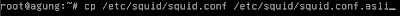 Proxy Debian Squeeze Proxy Debian Squeeze