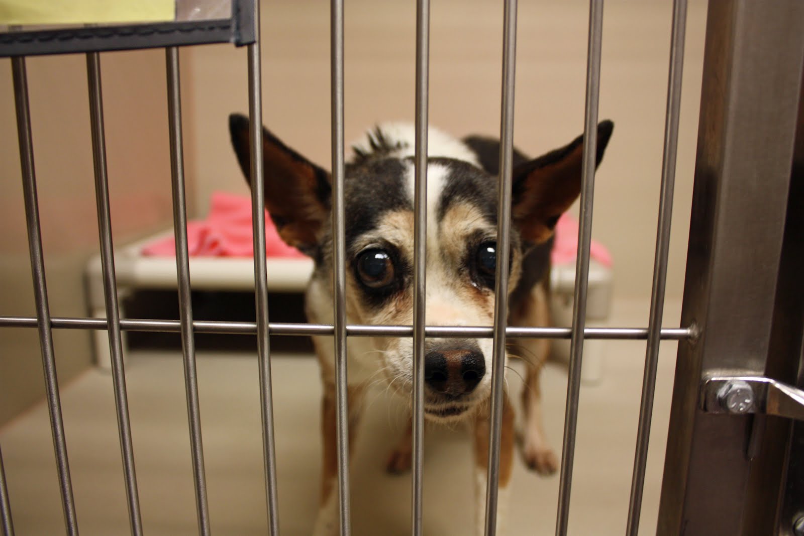 Boise Daily Photo February 2012