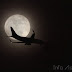 Bulan Purnama Mini Bersinar Malam Ini