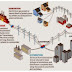 Distribusi Struktur Power Plant Industri