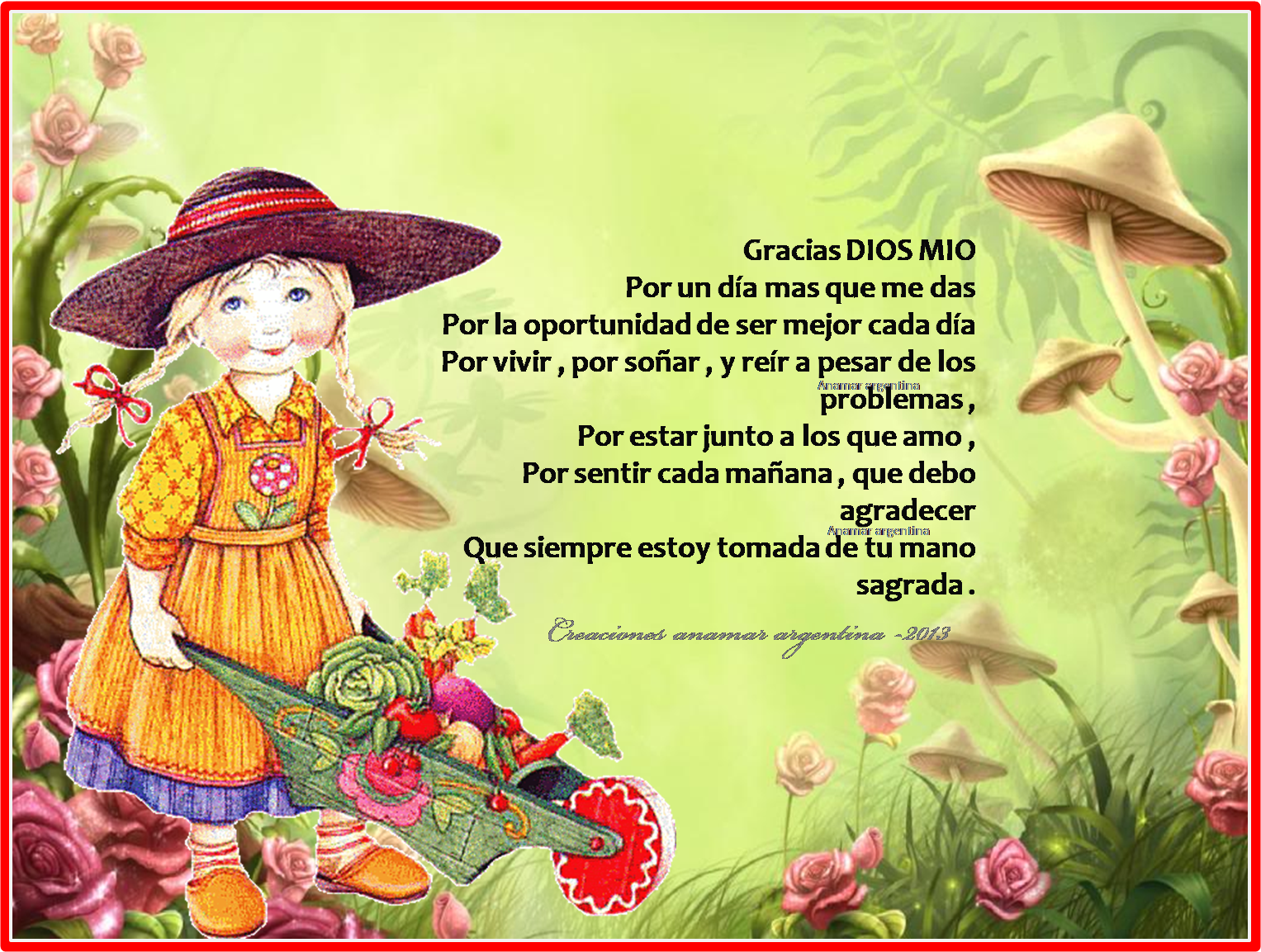 Ver las imágenes de origen