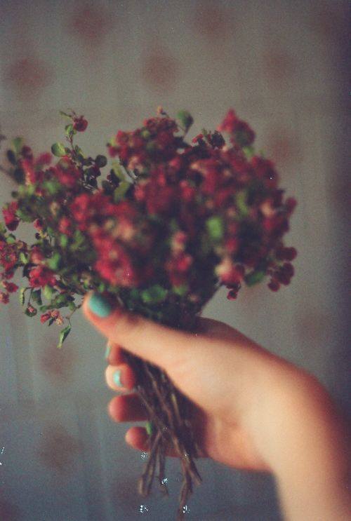 A Fist Full Of Flowers