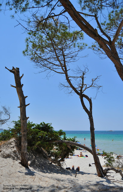 plage Maria Pia Alghero Sardaigne Italie