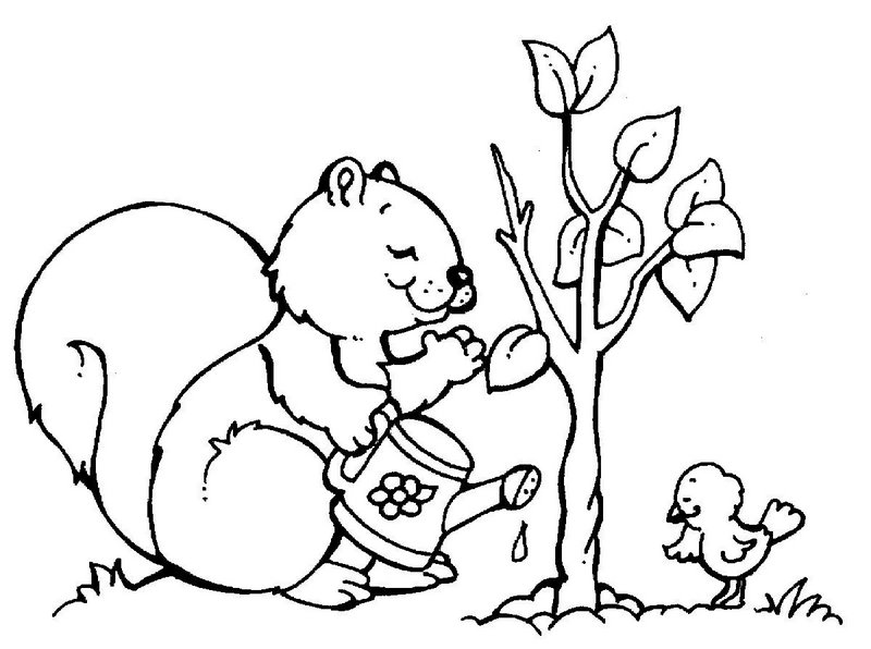 Compartilhando experiências: Desenhos para colorir Compartilhando experiências: Desenhos para colorir