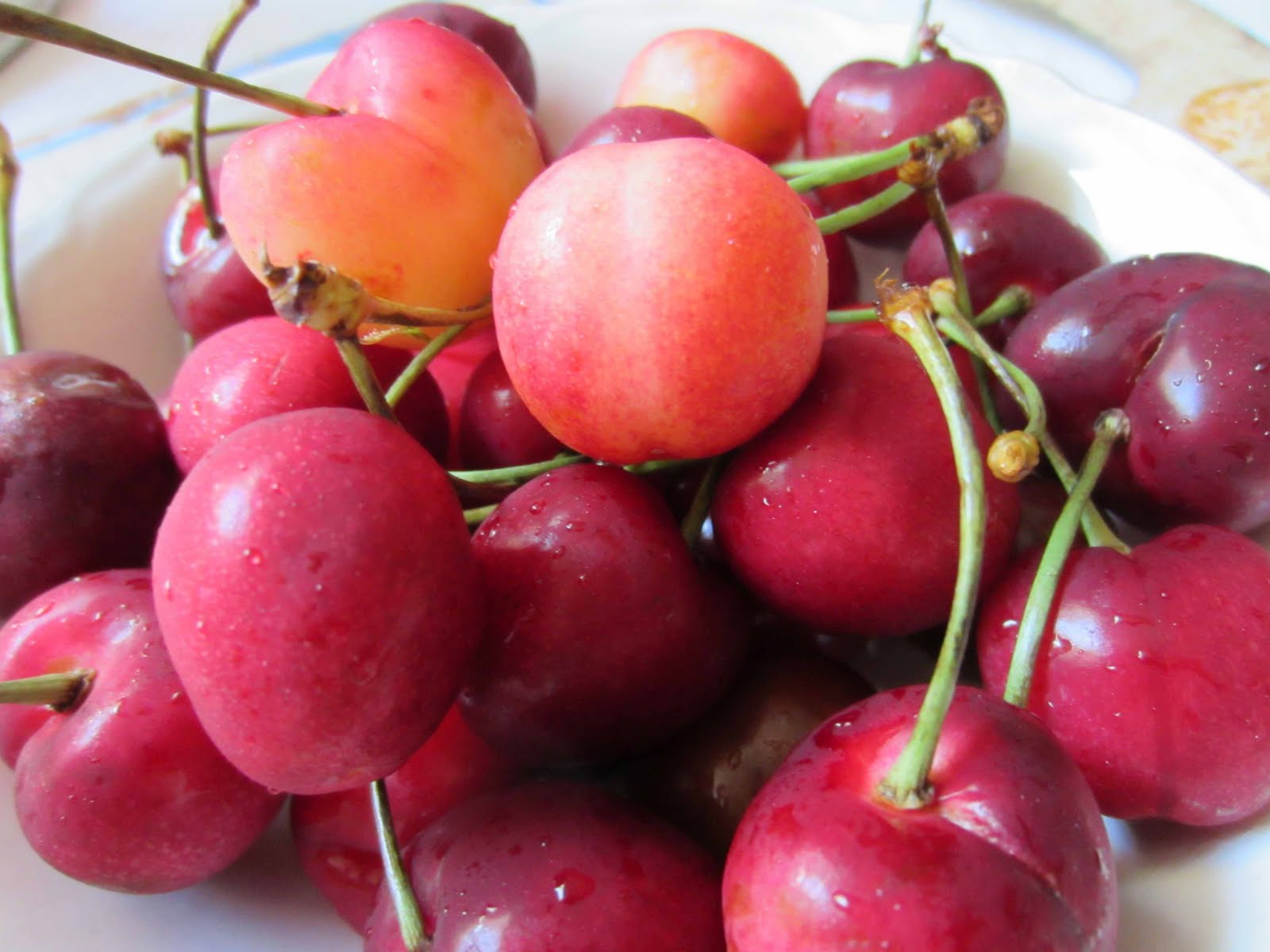 The French Circus Life is Just a Bowl of Cherries