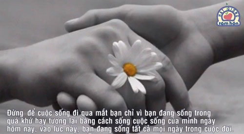 nhung-dieu-nen-tranh-trong-cuoc-song-5 nhung-dieu-nen-tranh-trong-cuoc-song-5