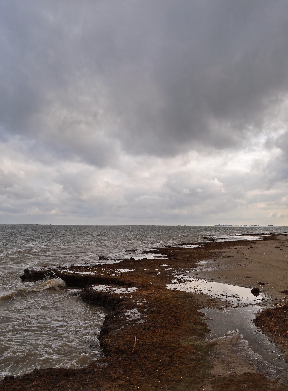 A Tidewater Paddler Onancock Creek and Parkers Marsh 7/21/13