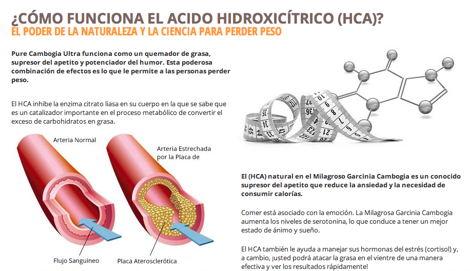 Adelgazar piernas y muslos corriendo adelgazar piernas y muslos corriendo