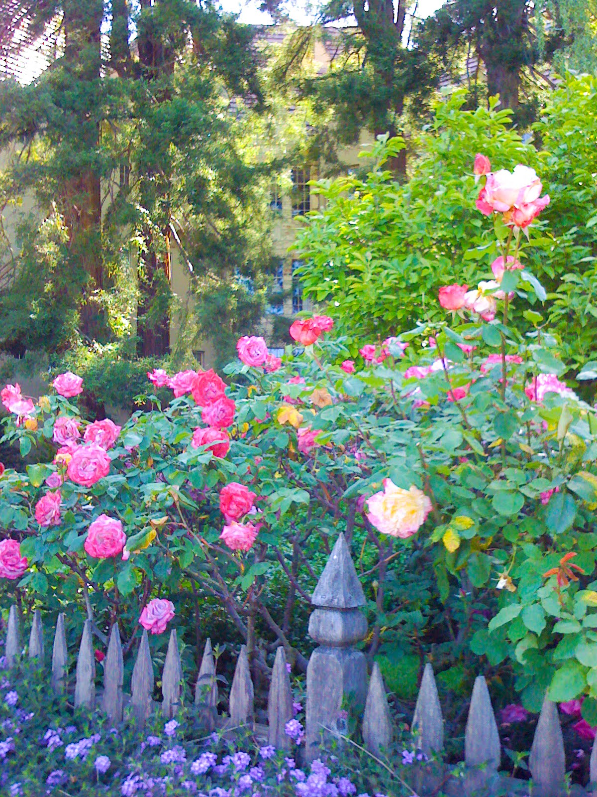 * Chic Provence * Summer She Flew