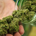 This True Story of a Woman Who Has Used Medical Marijuana Will Leave You Speechless..