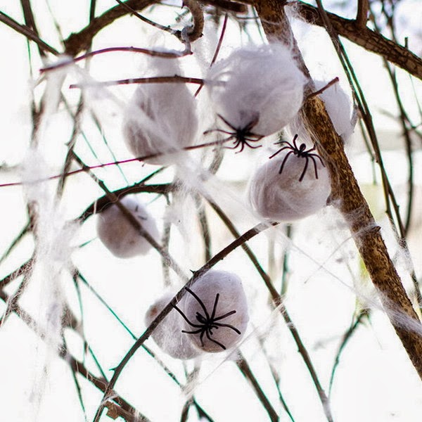 You only live once: 2013-10-20