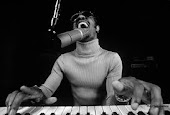 steve wonder