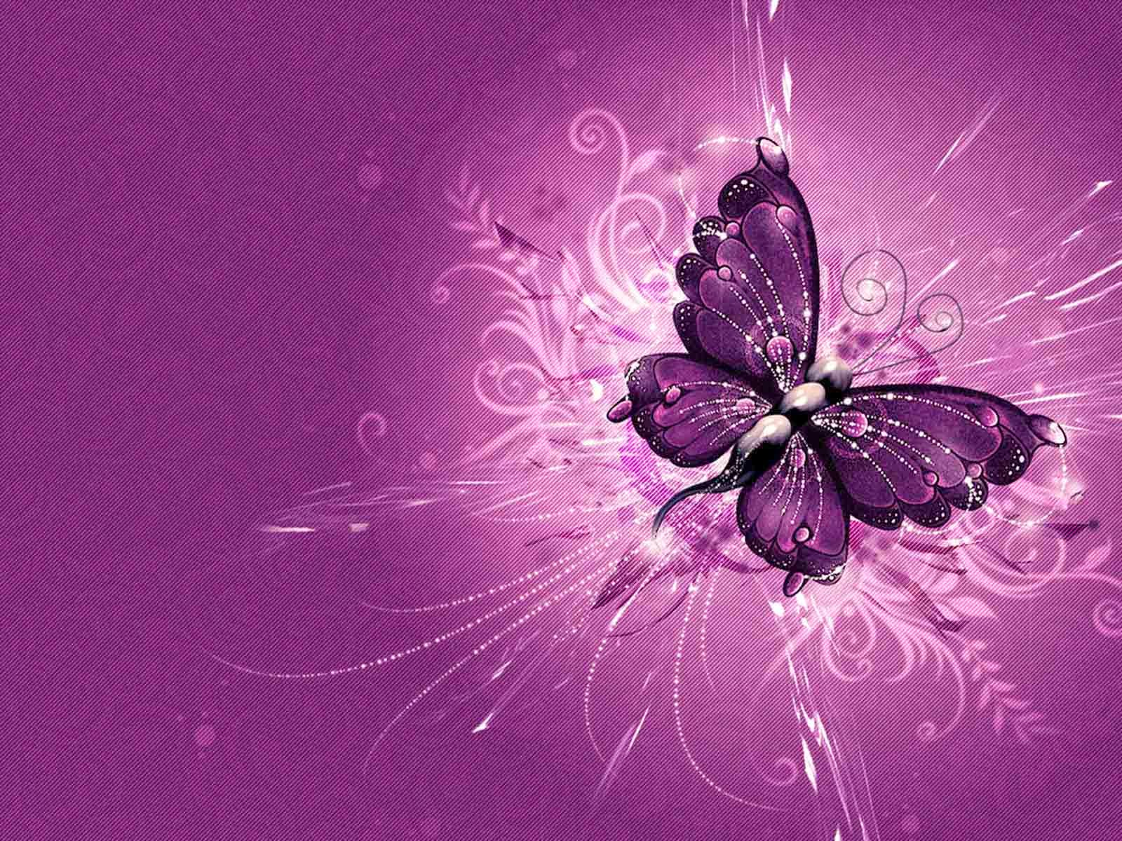 butterfly pictures, butterfly wallpaper, desktop backgrounds, desktop wallpapers, hd desktop backgrounds