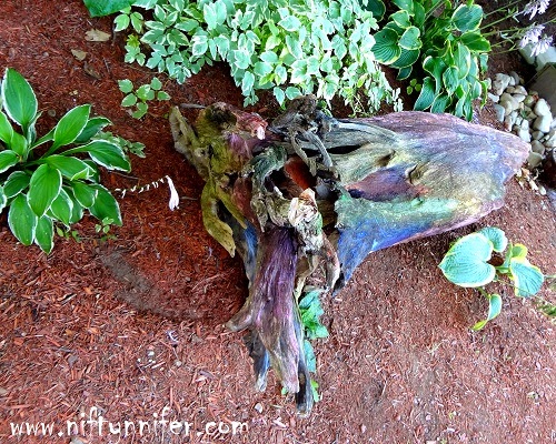 I Tie Dyed My Drift Wood ~Garden Project http://www.niftynnifer.com/2014/08/i-tie-dyed-my-drift-wood-garden-project.html