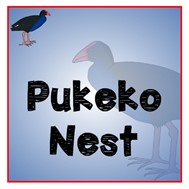 Pukeko NEST - New Entrants