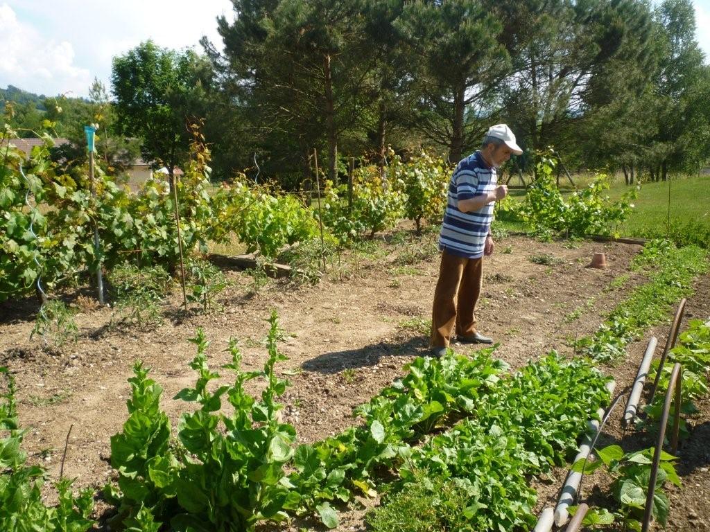 BUGEY SUD ACTIF: De jardin en jardin