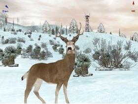 Deer Hunter 4 Cheats