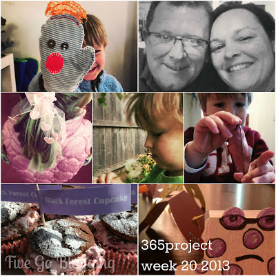 Five Go Blogging 365project week 20 2013