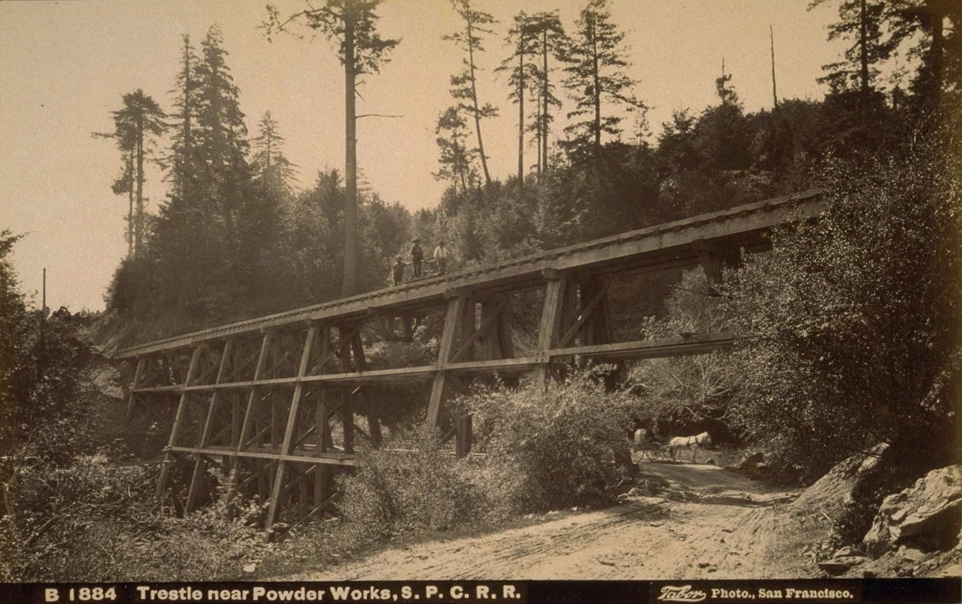 Santa Cruz Trains Railroads of the Monterey Bay Shady Gulch Trestle
