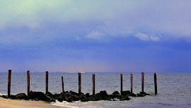 My rocks at Chesapeake Beach....