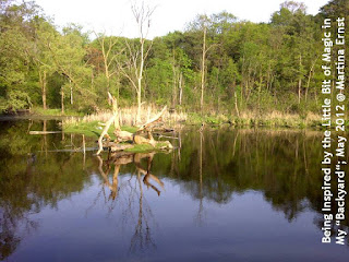 The magic is an oasis in the middle of an urban environment, photo by Martina Ernst, wobuilt.com