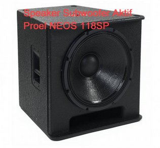 Speaker subwoofer 12 inch lapangan