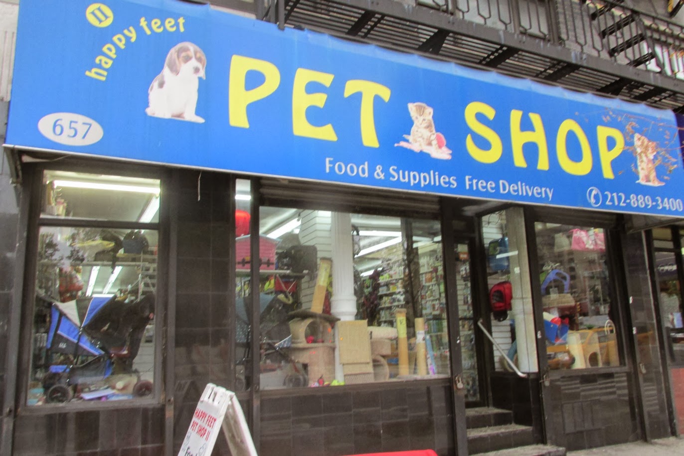 Midtown Blogger/Manhattan Valley Follies Happy Feet Pet Shop