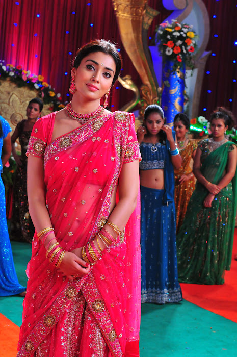 shriya saran traditional saree look actress pics