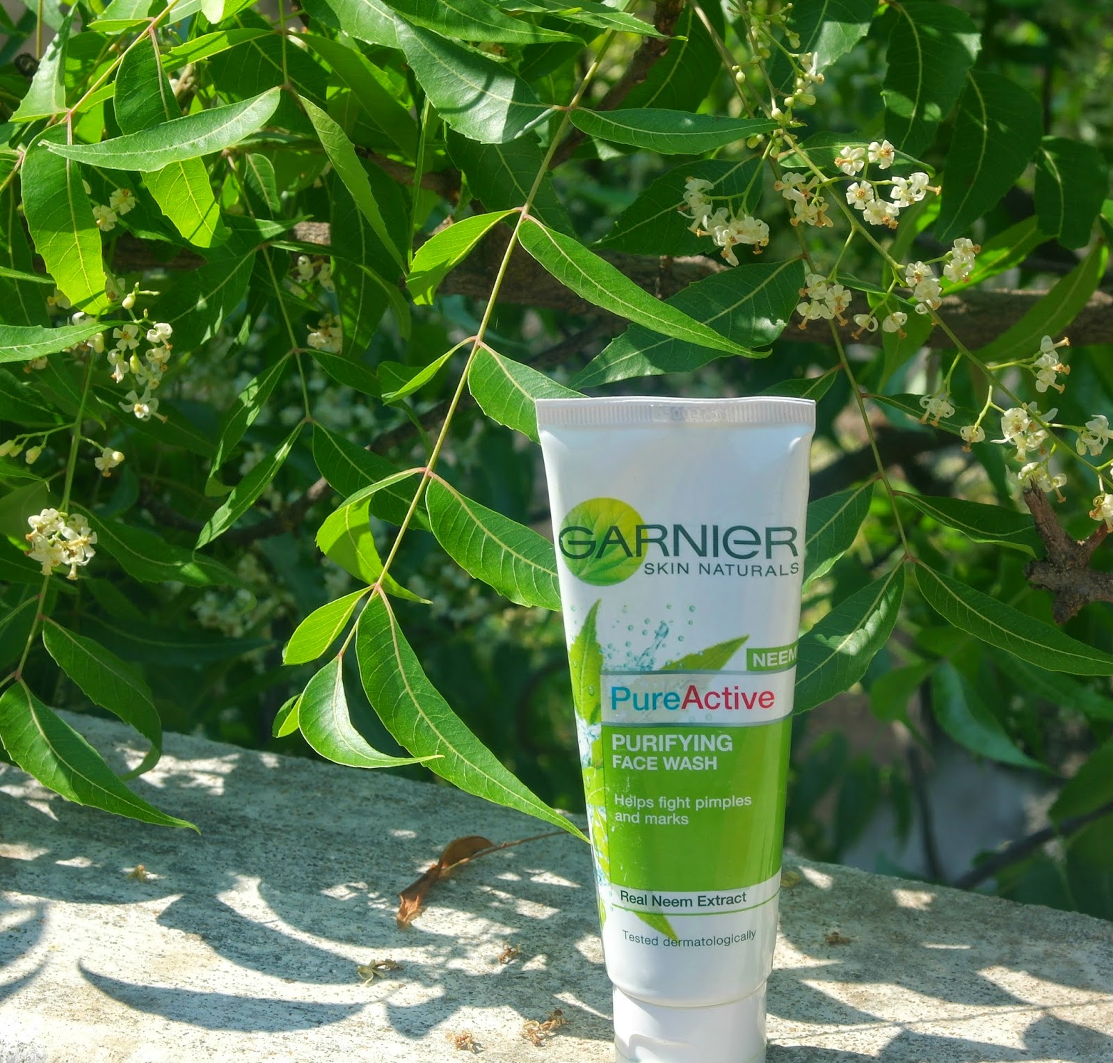 Garnier Skin naturals pure active neem face wash
