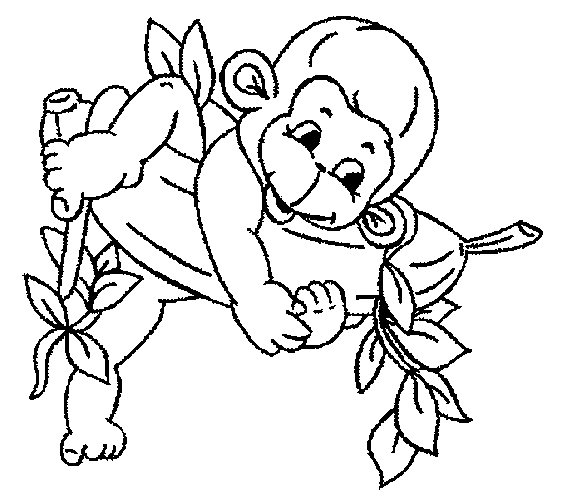 Chimpanzee Coloring Pages Chimpanzee Coloring Pages