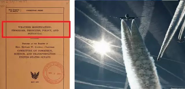 Μια πριγκίπισσα μιλάει ενάντια στους χημικούς αεροψεκασμούς και τη Γεωμηχανική Μια πριγκίπισσα μιλάει ενάντια στους χημικούς αεροψεκασμούς και τη Γεωμηχανική